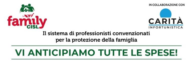 UN SISTEMA DI PROFESSIONISTI PER LA PROTEZIONE DELLA FAMIGLIA